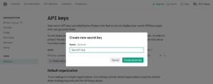 API Key name